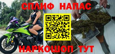 прущие грибы Комсомольск-на-Амуре