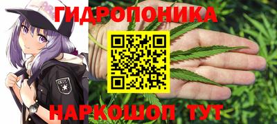 СК Коммунар