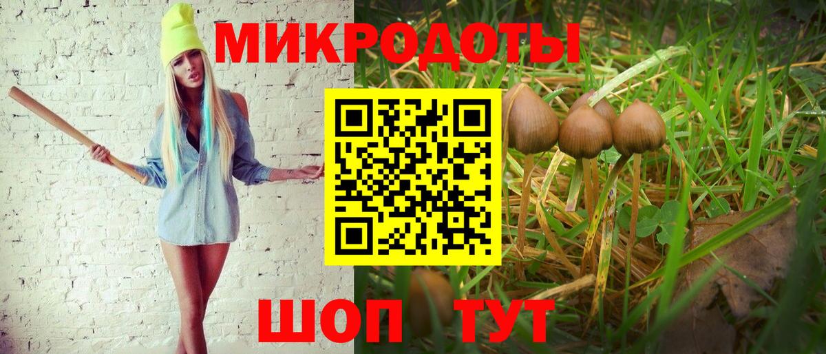 Галлюциногенные грибы Psilocybine cubensis  Галлюциногенные грибы прущие грибы  Вход с VPN  магазин  наркотиков  Великий Устюг 