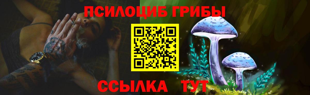 Псилоцибиновые грибы Magic Shrooms Великий Устюг